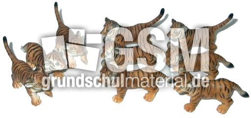 Tiger-3+6.jpg